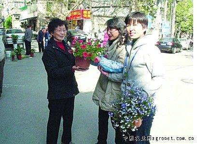 江苏成立花草协会 养育花草盆景赠居民