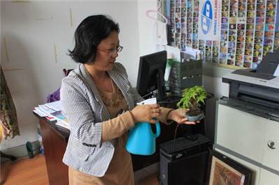 夏季养盆景怎么浇水的3个方法