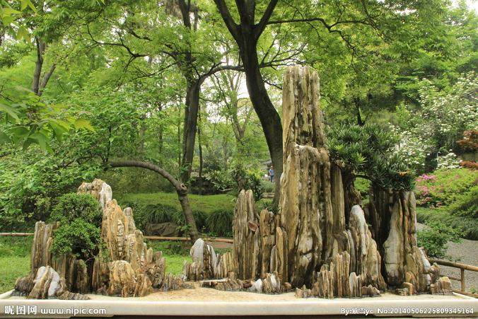 高考落榜山里娃创业制假山盆景