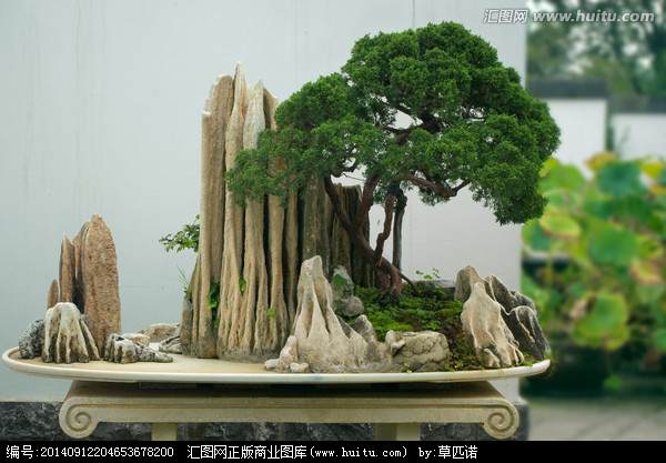 2008首届中国义乌石雕雕塑及假山盆景展备受瞩目