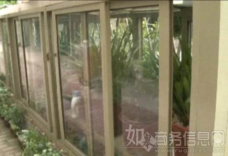 盆景被偷十几次 江苏南通市民遭遇采花大盗