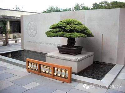 如皋市花木盆景商会多措并举助推花木产业发展