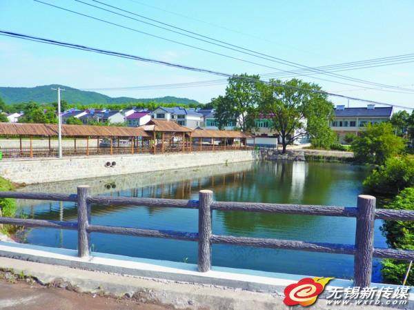 江苏无锡:花木盆景街满目春光 张阳花木早逢春