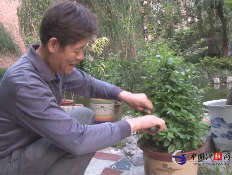 江苏徐州：几十户业主晒&ldquo;宝贝&rdquo; 百余盆景装点小区