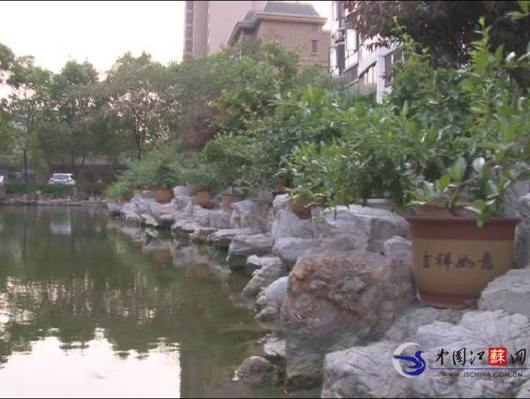 江苏徐州：几十户业主晒&ldquo;宝贝&rdquo; 百余盆景装点小区