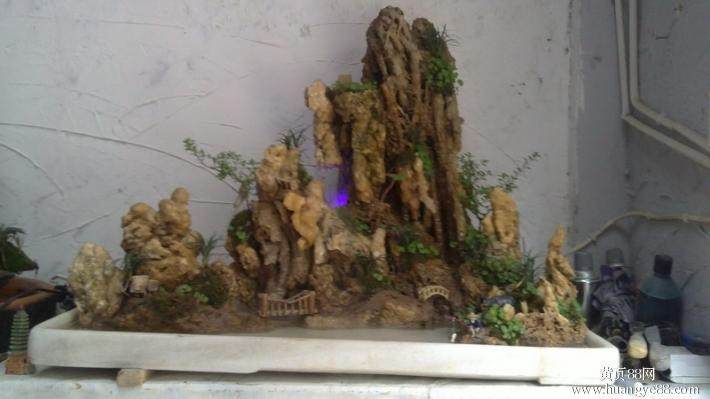 张时好选择盆景假山玩起高雅艺术