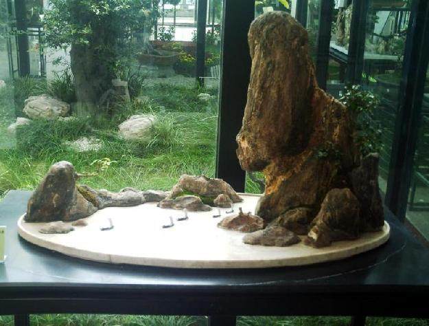 为什么电视机旁不宜摆放盆景