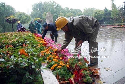 花儿风中放 园丁养护忙