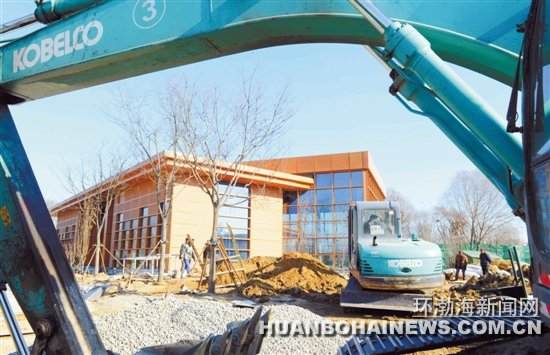 世园会盆景专项园将摆放由市民栽种的各种盆景植物