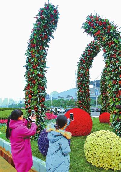 郑东新区商务内环摆放100多万盆花卉植物盆景