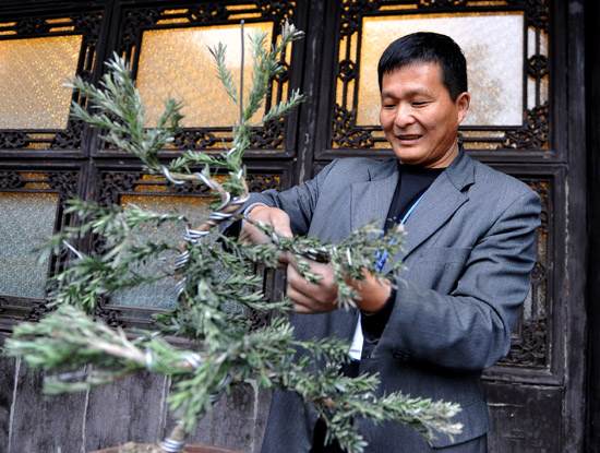 江苏13市盆景工花卉园艺工扬州赛技能