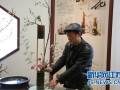 园艺大师助阵梅花山梅盆景及主题插花艺术展