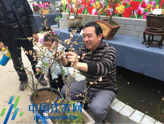 南京莫愁湖公园海棠盛开 市民可报名参加盆景制作