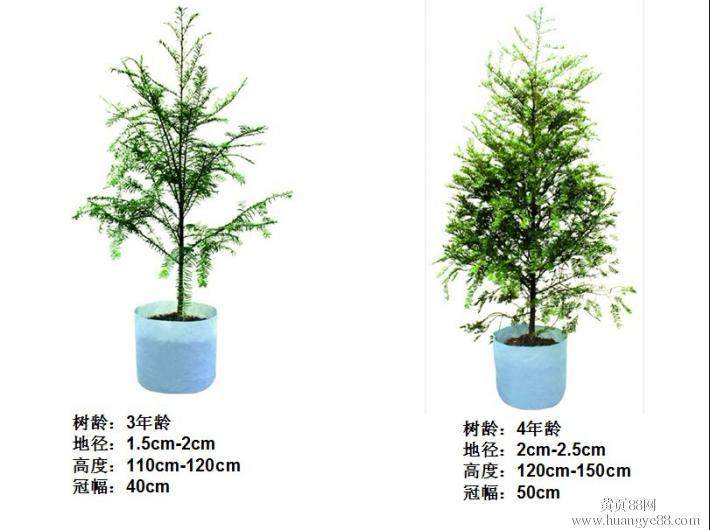 无锡住宅节能改造期待做大盆景