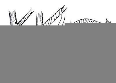 盆景造型:棕丝攀扎示意图 - 红叶 - 日知斋