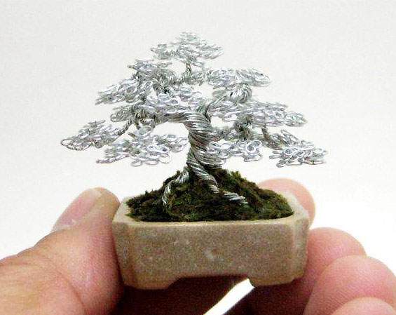 盆景攀扎技术(金属丝)