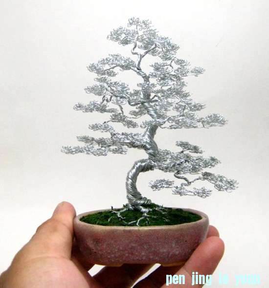 盆景攀扎技术(金属丝)