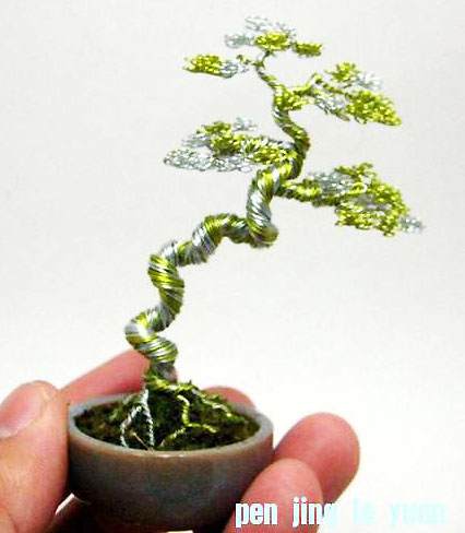 盆景攀扎技术(金属丝)