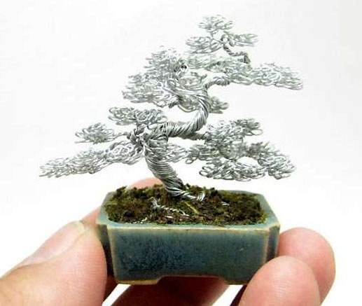 盆景攀扎技术(金属丝)