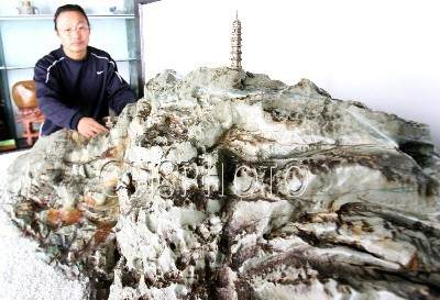 虎丘山九龙壁巨石盆景在苏州问世