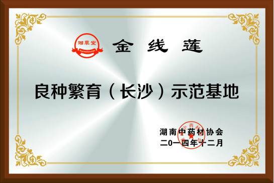 长金线莲种植推广企业教你灵芝盆景的制作