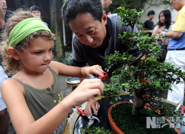 洋学生苏州网师园学盆景