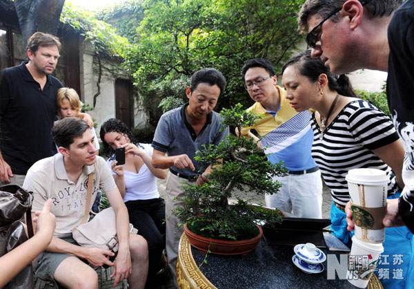 洋学生苏州网师园学盆景