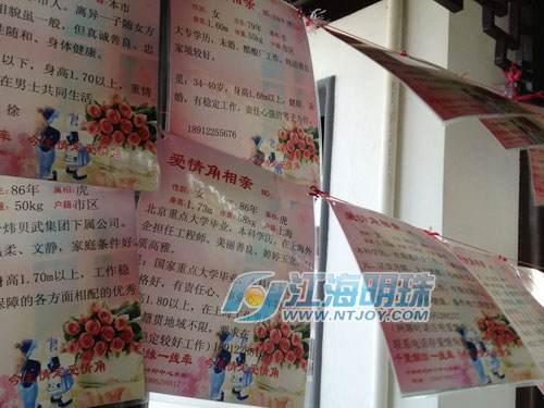 盆景园爱情角 南通人心中的《非诚勿扰》