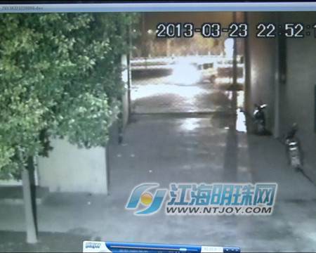 南通组团偷盆景 价值10多万只卖1700