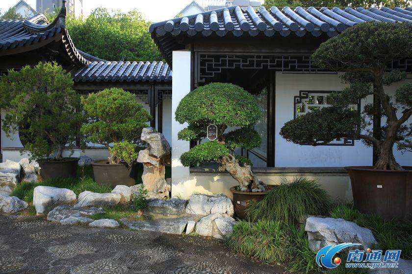 南通盆景园春意盎然