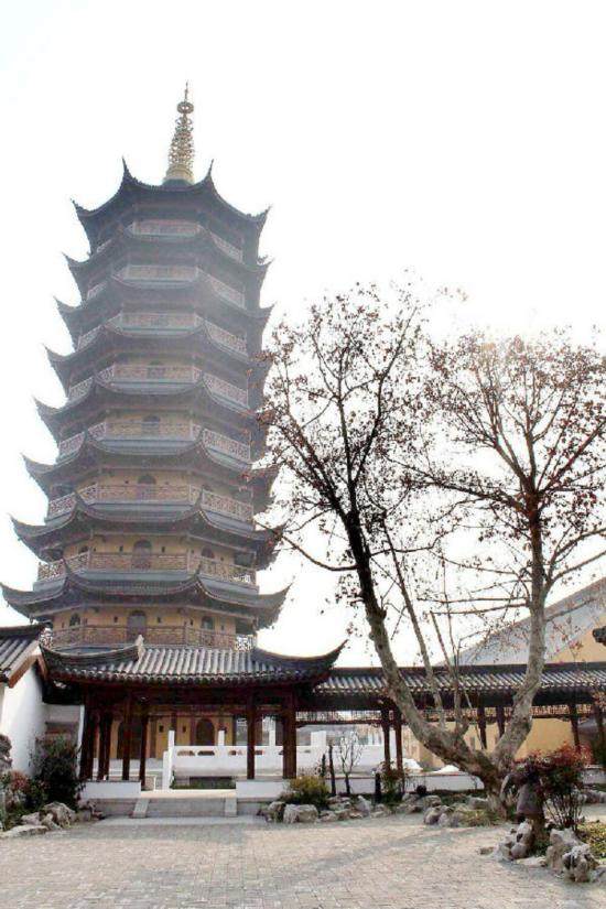 安徽淮安花价稳中有升 盆景成为新宠