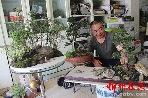 淮安花卉市场上的绿色盆景也颇受市民喜爱