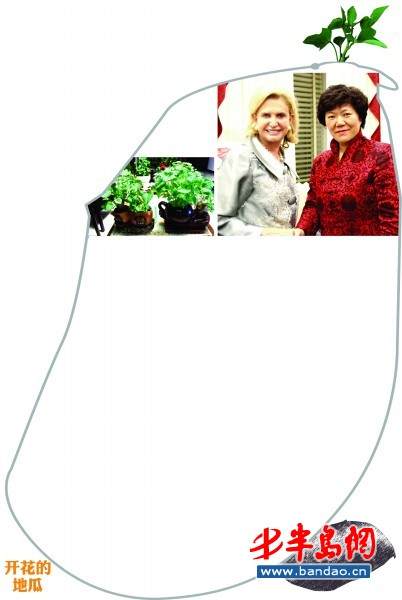 威海市民创意地瓜盆景 敲开美国国会大门 图片