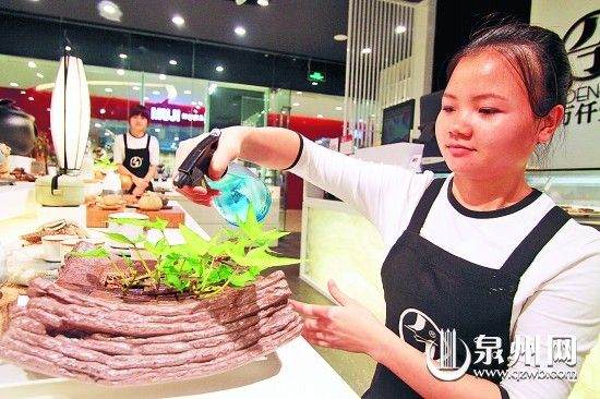 地瓜盆景要时时浇水