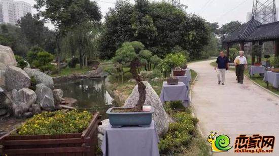 让公益盆景形成杭州风景