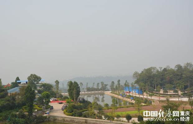 东冒山蔬菜基地 打造重庆最大水果盆景基地