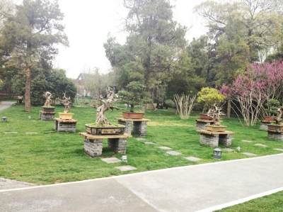 扬州瘦西湖休闲广场4·18前亮灯 盆景园免费开放