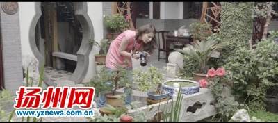 扬州小伙导演《扬州故事》杀青 因盆景结缘的跨国恋