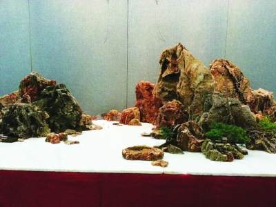 张泽民砚式盆景艺术展正式亮相扬州