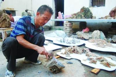 张泽民砚式盆景艺术展正式亮相扬州