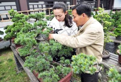 师傅教授徒弟剪枝。刘江瑞 摄