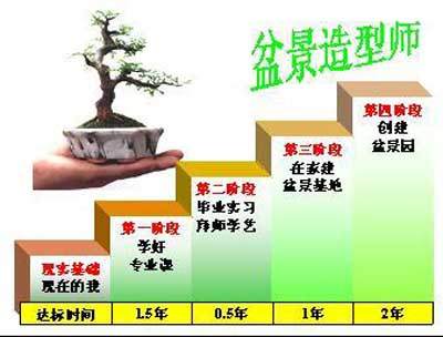 职业生涯规划 做一名出色的盆景造型师