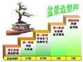 职业生涯规划 做一名出色的盆景造型师