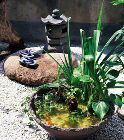 DIY盆景增添绿色生活 6款有趣造型的分享