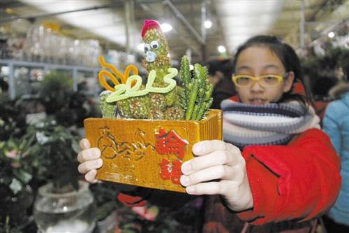 内蒙古:2013仙人球“萌蛇”盆景造型 路人驻足观看