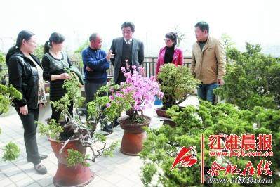 走进盆景花园给绿植做个造型吧