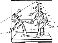 图7—3 三树组合法( 二) 图7—3 三树组合法( 二)