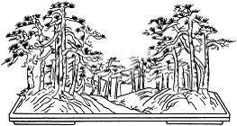 图7—5 三树丛组织法 图7—5 三树丛组织法