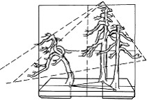 图7—2 三树组合法(一) 图7—2 三树组合法(一)
