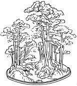 图7—7 双树丛组织法 图7—7 双树丛组织法